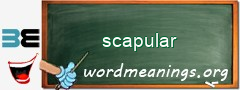 WordMeaning blackboard for scapular